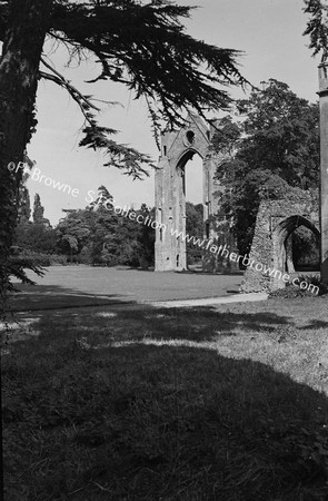 ABBEY EASTERN WINDOW ARCH FROM S.W. (I.E.REFLECTORY)